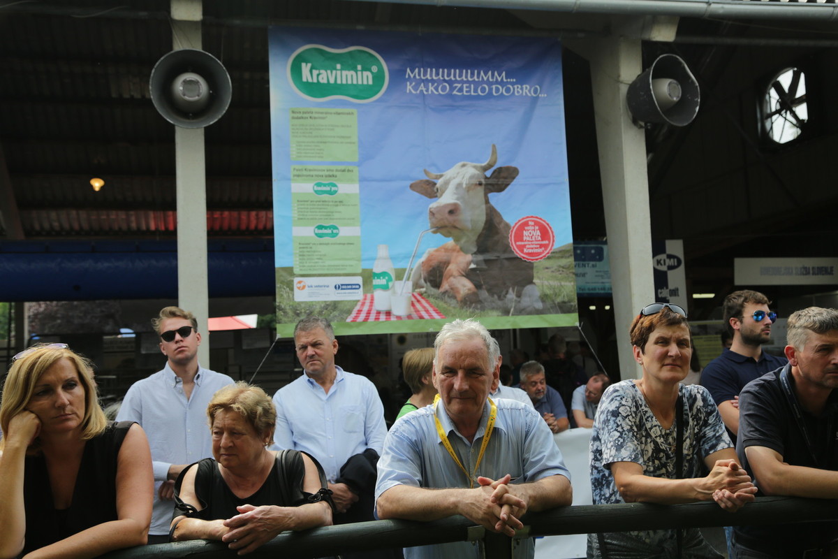 Obiskovalci sejma ob spremljanju slovesnega odprtja 57. mednarodnega kmetijsko-živilskega sejma AGRA 2019<br>(Avtor: Milan Skledar)