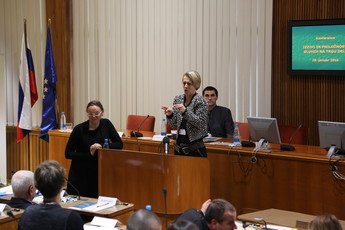 <br>(Avtor: Milan Skledar)