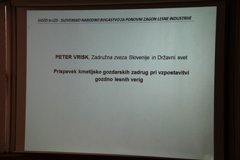 <br>(Avtor: Milan Skledar)