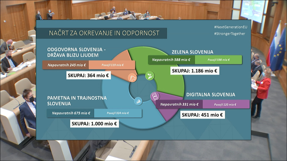 23. izredna seja Državnega sveta RS (posnetek zaslona)<br>(Avtor: Milan Skledar)