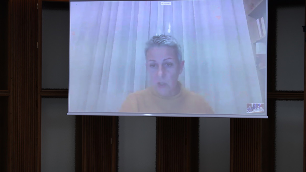 Lidija Jerkič, državna svetnica, na videokonferenčni seji Državnega sveta <br>(Avtor: Milan Skledar)