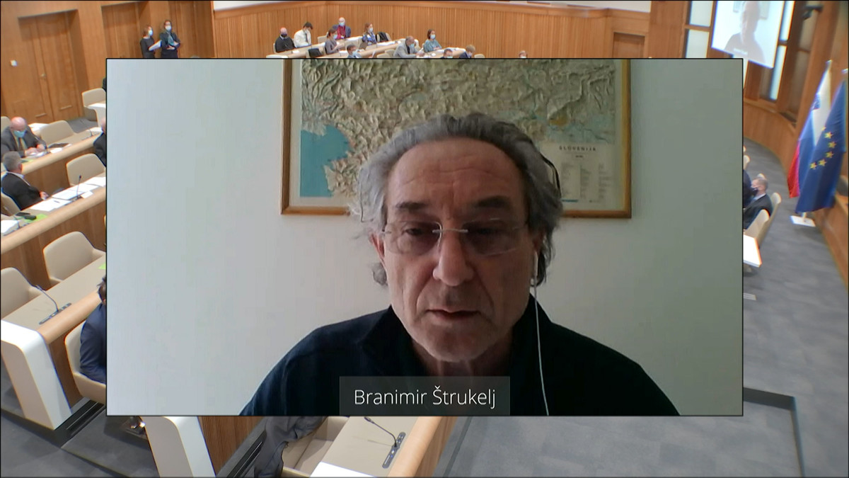 Branimir Štrukelj, državni svetnik, 23. izredna seja Državnega sveta RS (posnetek zaslona)<br>(Avtor: Milan Skledar)