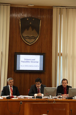 <br>(Avtor: Milan Skledar)