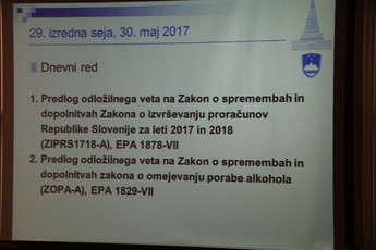 29. izredna seja DS<br>(Avtor: Milan Skledar)