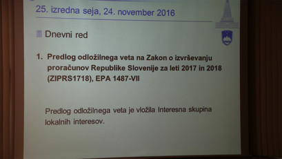 25. izredna seja Državnega sveta<br>(Avtor: Milan Skledar)