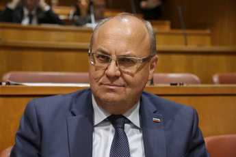 50. redna seja DS<br>(Avtor: Milan Skledar)