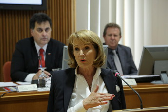 50. redna seja DS<br>(Avtor: Milan Skledar)