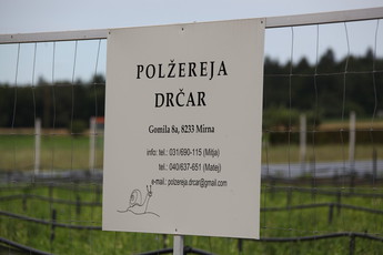 Drčarjeva reja polžev zagotovo sodi v slovenski vrh po urejenosti in vzorni rej<br>(Avtor: Milan Skledar)