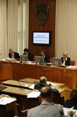 <br>(Avtor: Milan Skledar)