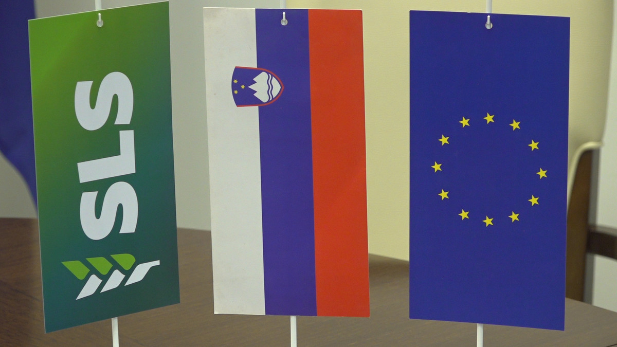 Zastavice SLS, Republike Slovenije in EU<br>(Avtor: Milan Skledar)